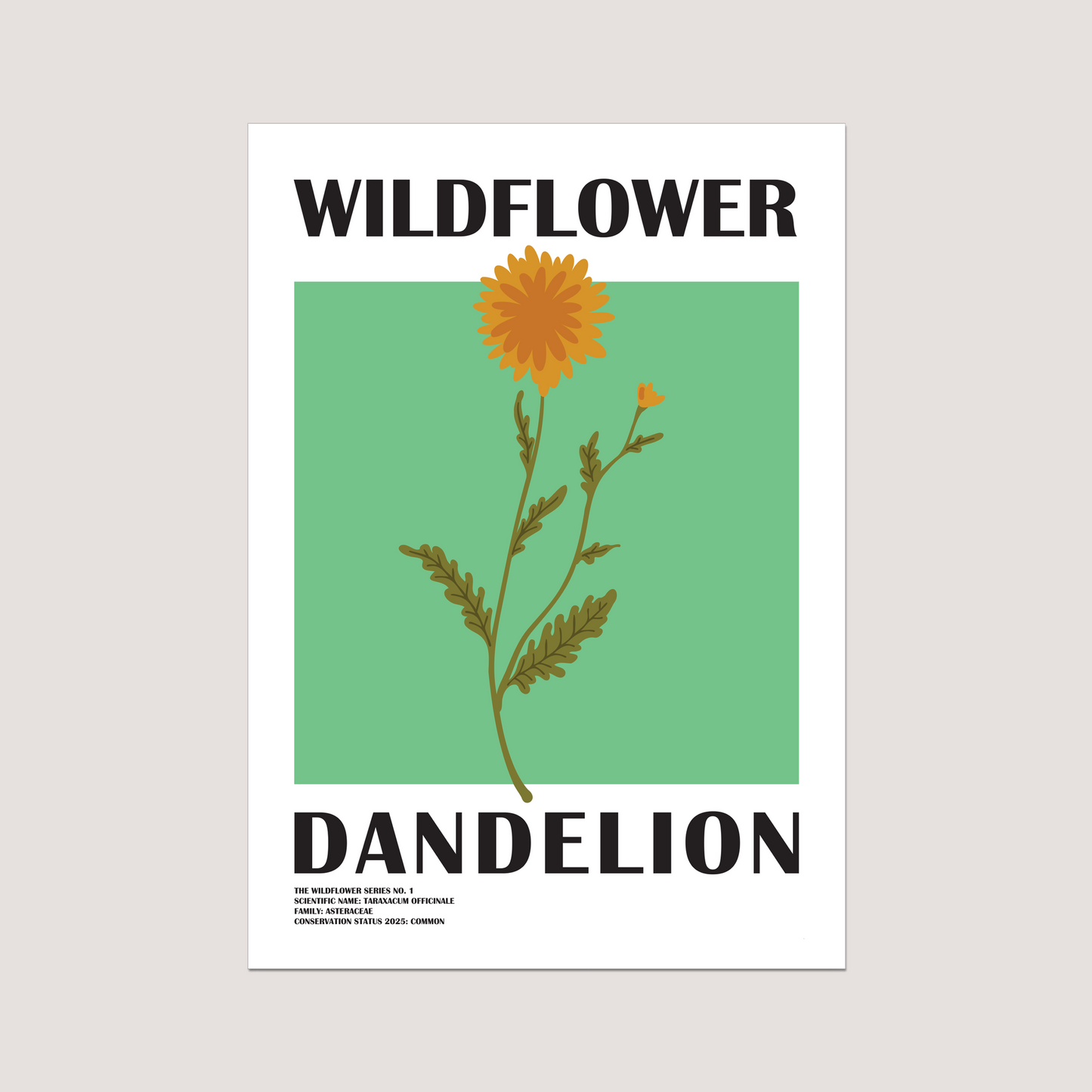 'Dandelion' Art Print | The Wildflower Series
