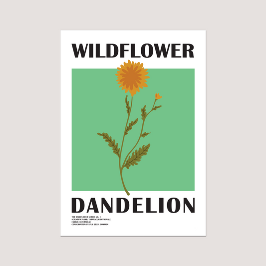 'Dandelion' Art Print | The Wildflower Series